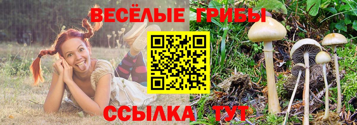 Галлюциногенные грибы Magic Shrooms Долгопрудный